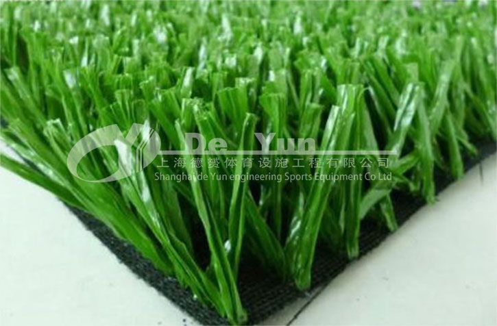 荷蘭賽爾隆進口網(wǎng)絲足球草_看圖王.jpg